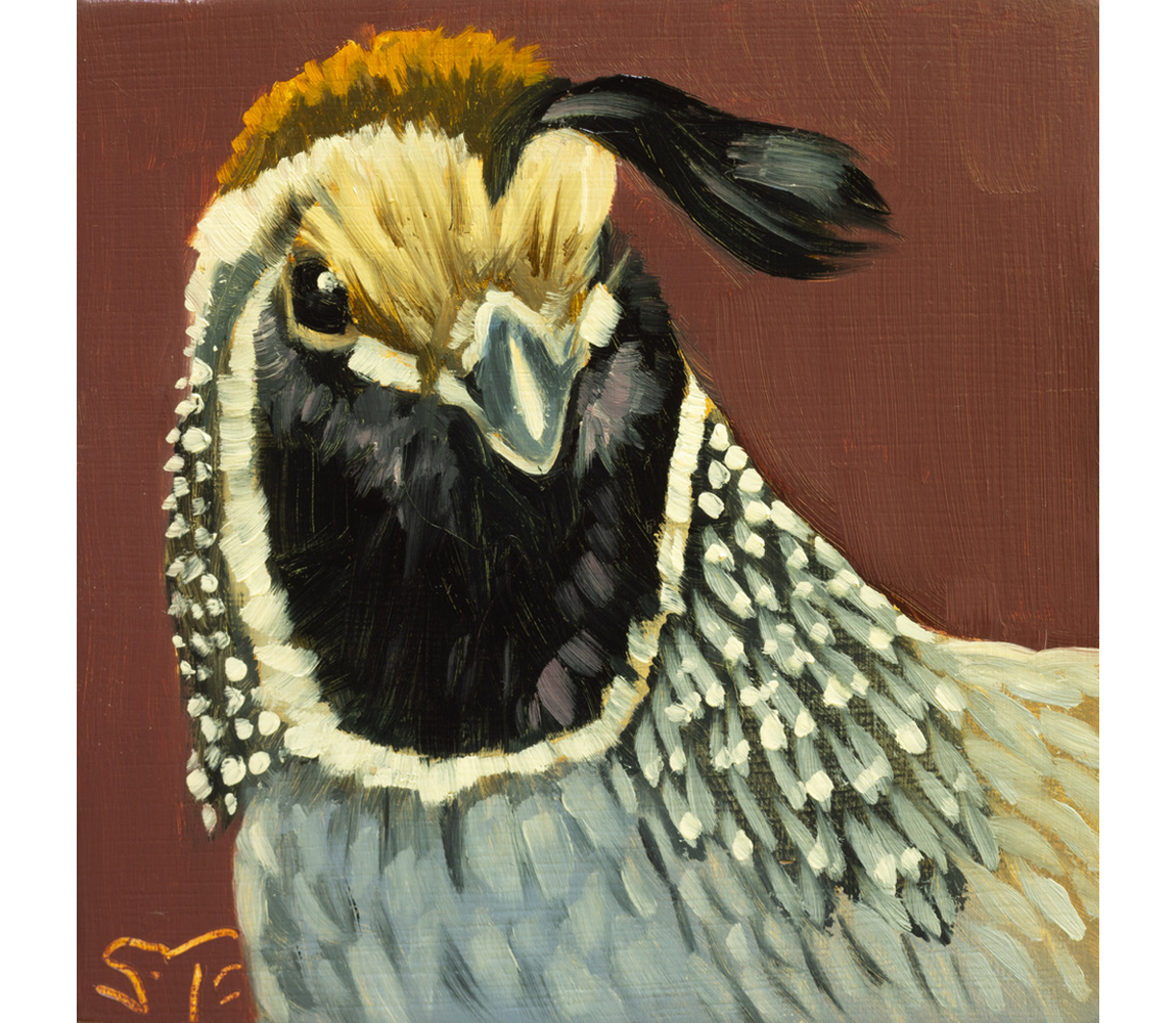 Sheila Evans "California Quail"